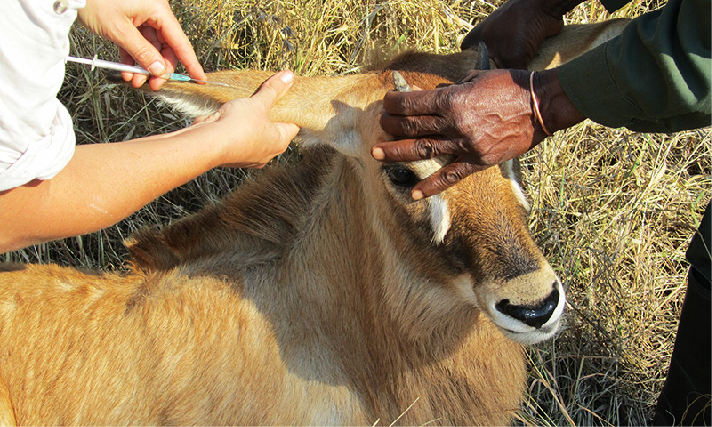 page-9-184-article_08